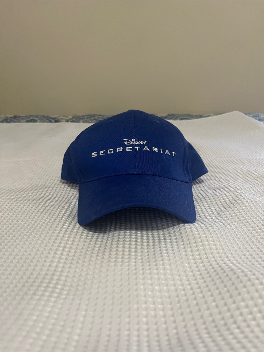 Disney Blue SECRETARIAT Embroidered Baseball Hat